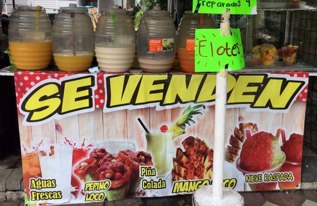 Tortilleria El Gayo | restaurant | 13616 E US-92, Dover, FL 33527, USA | 8137591917 OR +1 813-759-1917