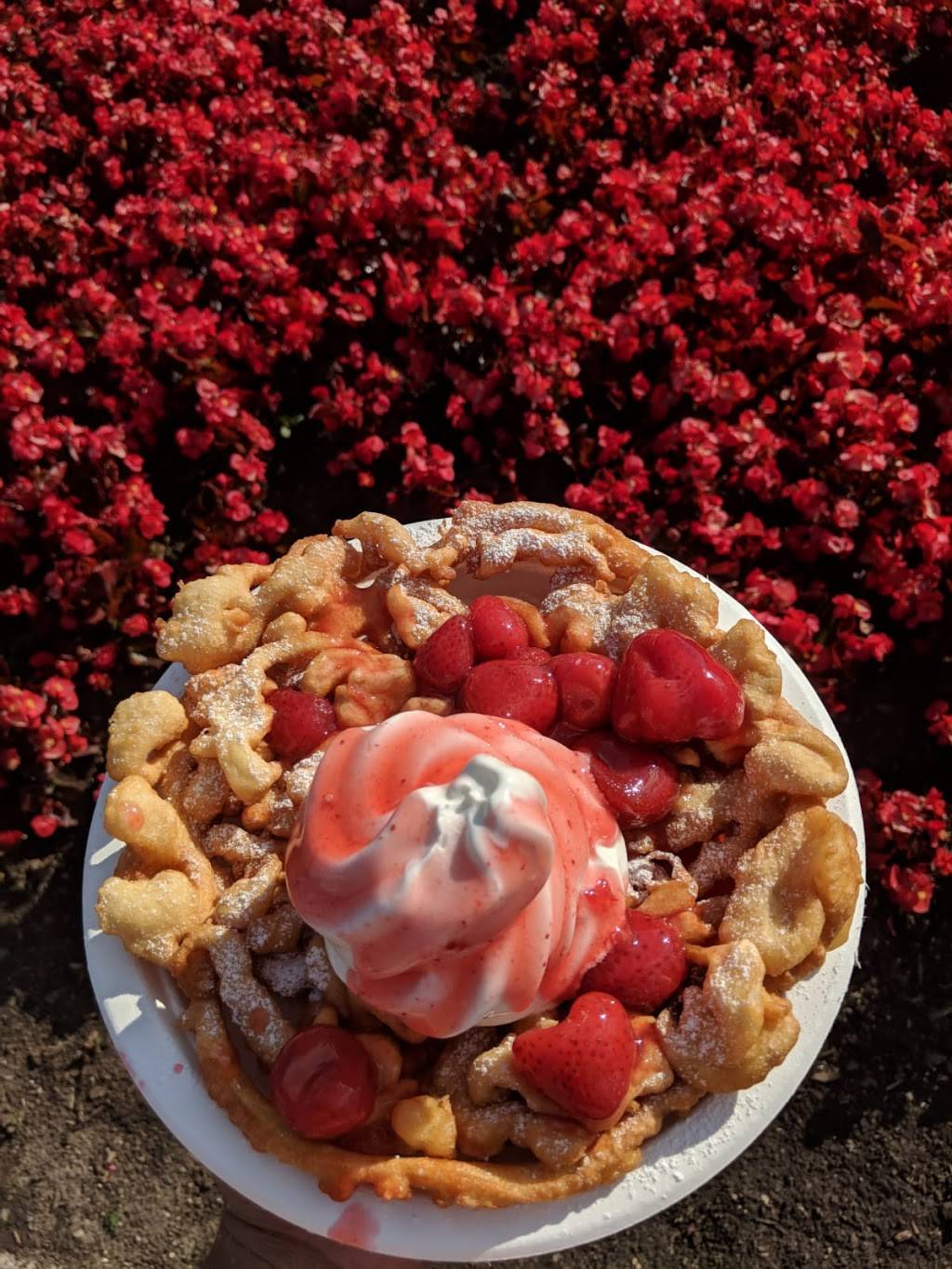Alphorn Funnel Cakes | restaurant | 1 Canadas Wonderland Drive, Maple, ON L6A 1S6, Canada | 9058327000 OR +1 905-832-7000
