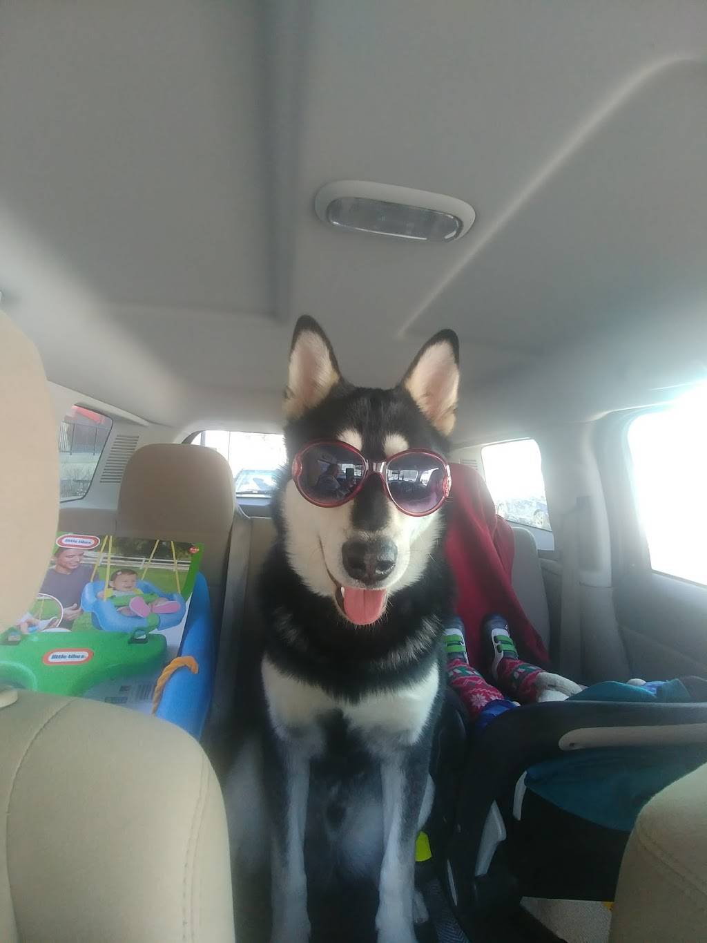 Potbelly Sandwich Shop | restaurant | 650 Carnegie Blvd m1-f, Malvern, PA 19355, USA | 4843212839 OR +1 484-321-2839