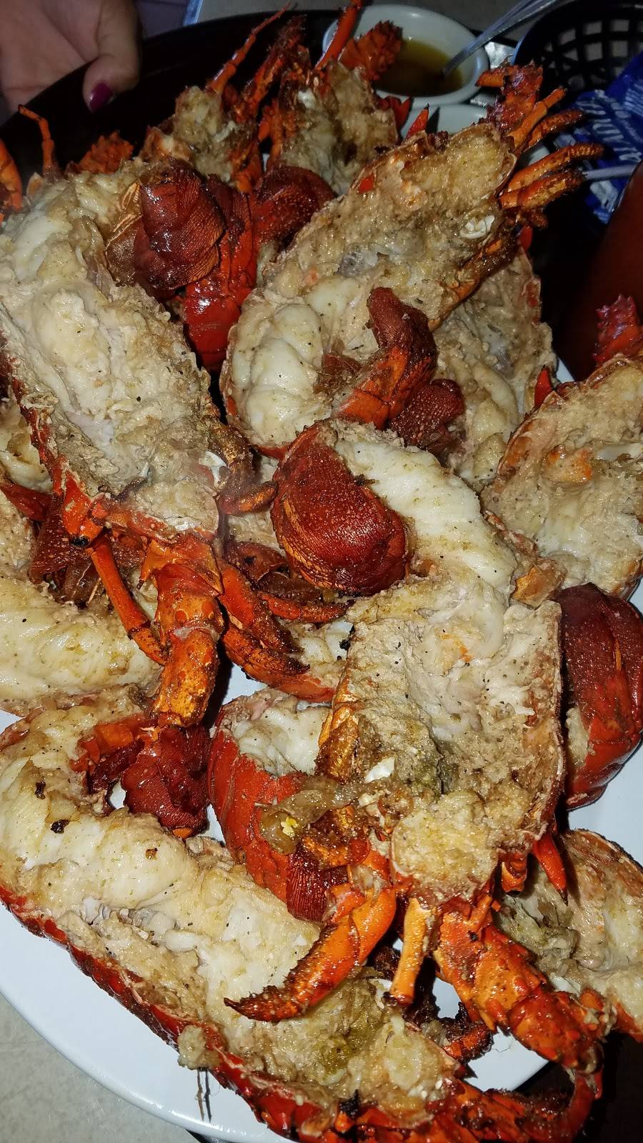 El Capi #1 | restaurant | Anzuelo No.4, 22710 Puerto Nuevo, B.C., Mexico | 016616141358 OR +52 661 614 1358