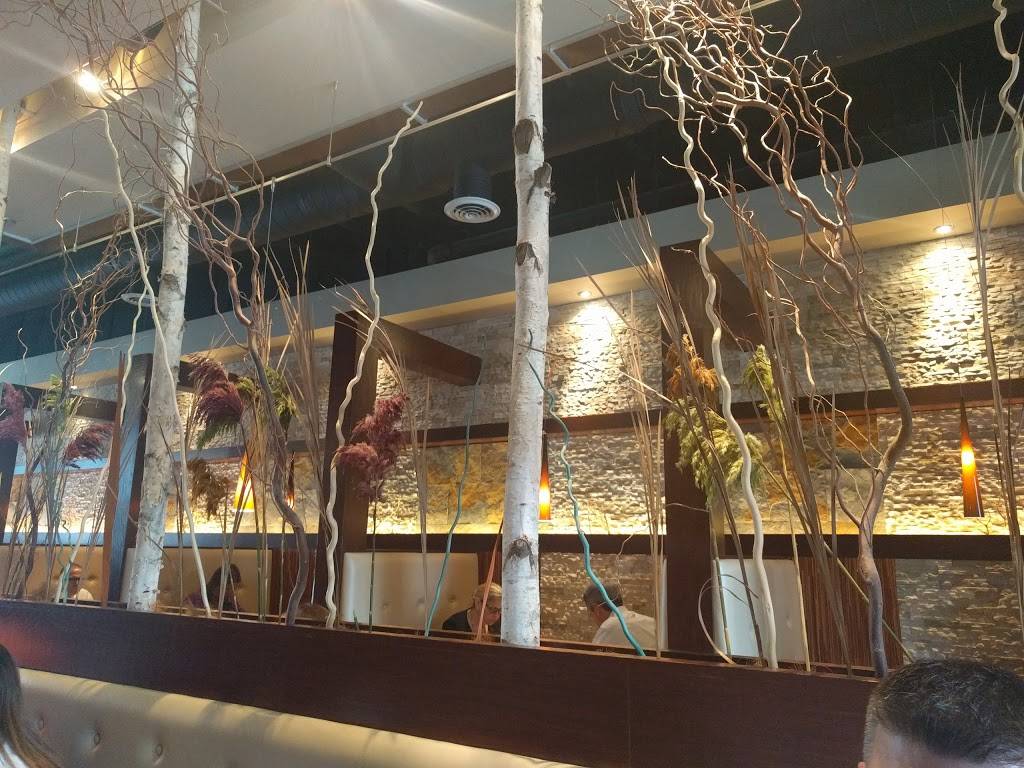 Blufish Sushi Bistro | restaurant | 130 N Northwest Hwy, Park Ridge, IL 60068, USA | 8477204479 OR +1 847-720-4479