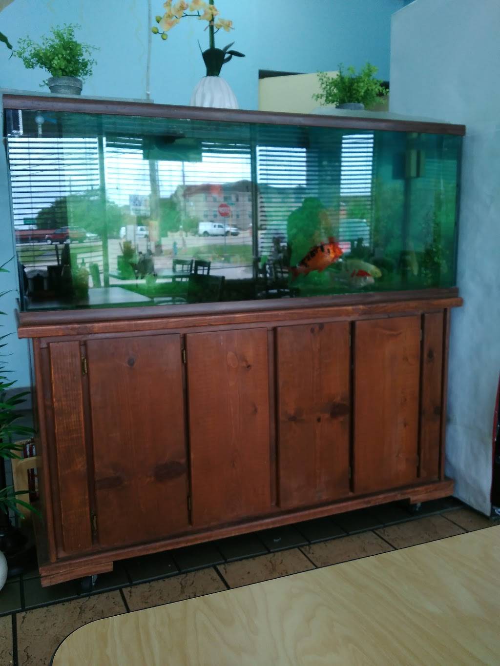 PHO 249 | restaurant | 14449 TX-249, Houston, TX 77086, USA | 2817818702 OR +1 281-781-8702