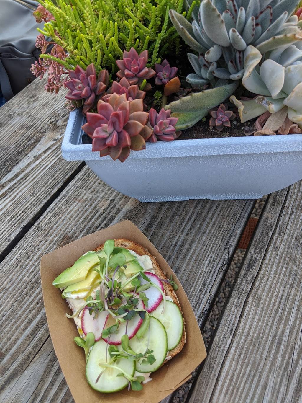 Nektar | restaurant | 612 US-71, Arnolds Park, IA 51331, USA | 7123307719 OR +1 712-330-7719