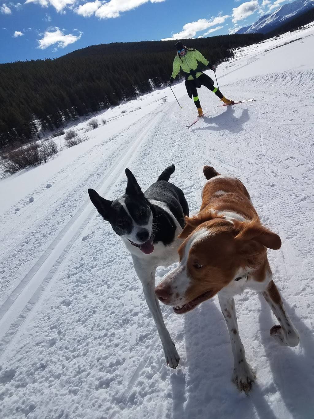 Tennessee Pass Cookhouse | restaurant | 259 CR 29, Leadville, CO 80461, USA | 7194868114 OR +1 719-486-8114