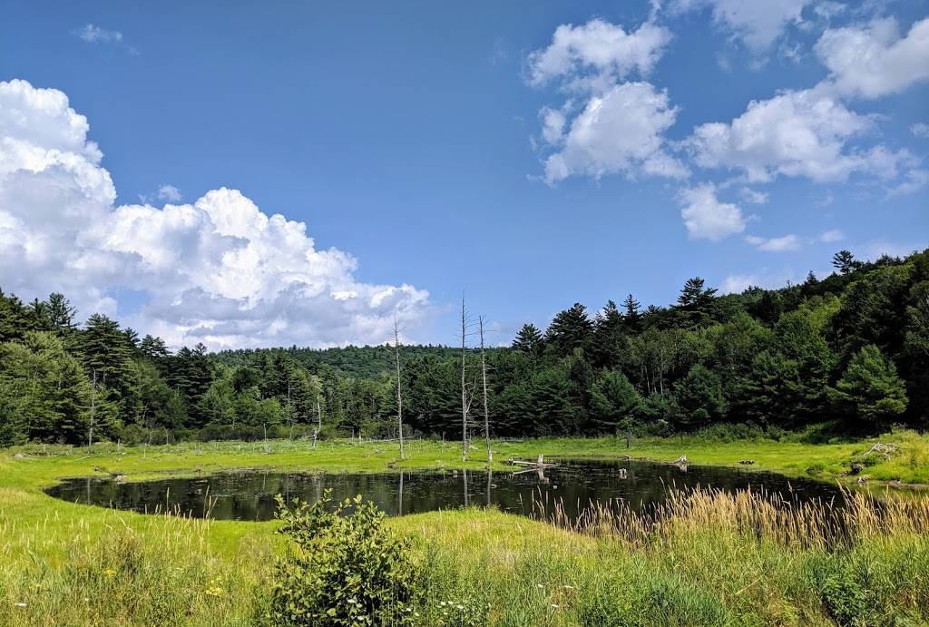 Highland Mountain Bike Park | restaurant | 75 Ski Hill Dr, Northfield, NH 03276, USA | 6032867677 OR +1 603-286-7677