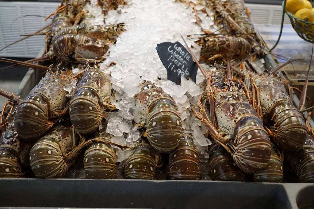 Key Largo Fisheries Backyard Cafe | cafe | 1313 Ocean Bay Dr suite a, Key Largo, FL 33037, USA | 3054513784 OR +1 305-451-3784