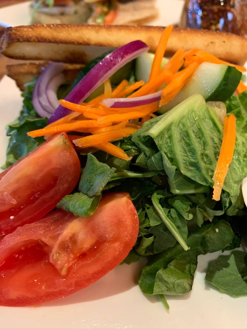 Tampa Pizza Company | restaurant | 4110 Henderson Blvd, Tampa, FL 33629, USA | 8134431822 OR +1 813-443-1822