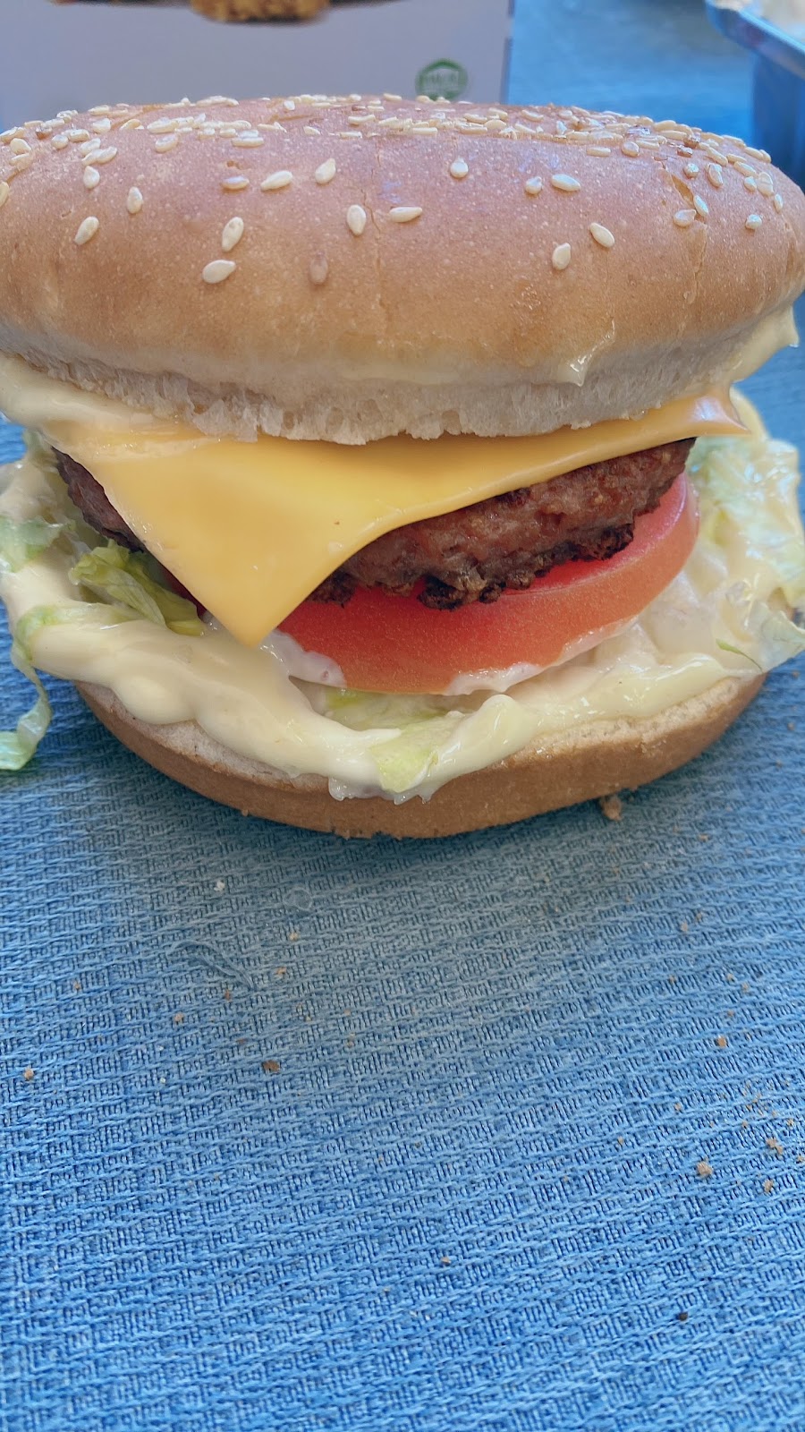 HALAL IN-N-OUT | restaurant | 247-22 S Conduit Ave, Queens, NY 11422, USA | 3476765449 OR +1 347-676-5449