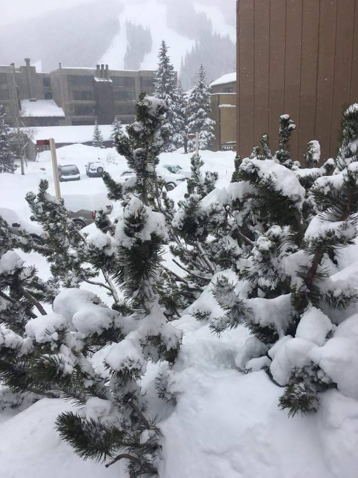 Tio Juans | restaurant | 602 Main St, Platteville, CO 80651, USA | 9707850808 OR +1 970-785-0808