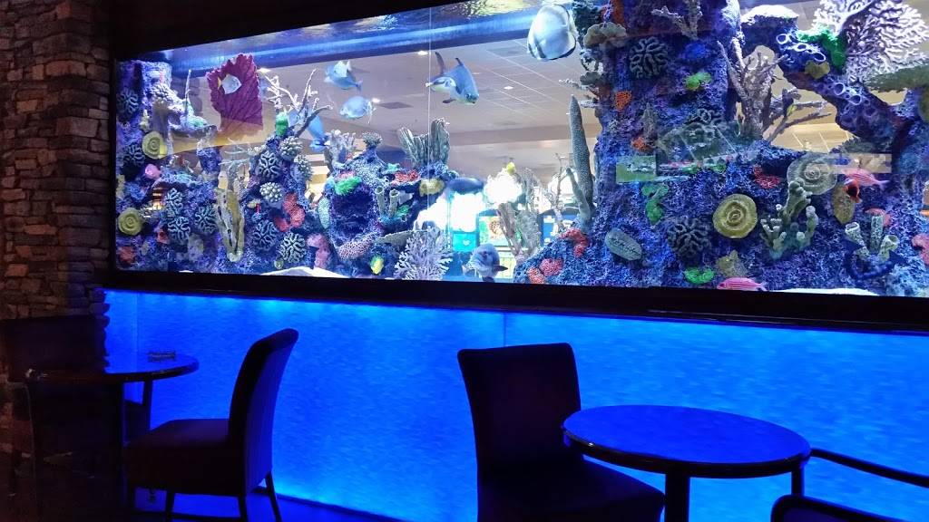 Black&Blue | restaurant | 16300 Nyemii Pass Pl, Valley Center, CA 92082, USA | 7602912130 OR +1 760-291-2130