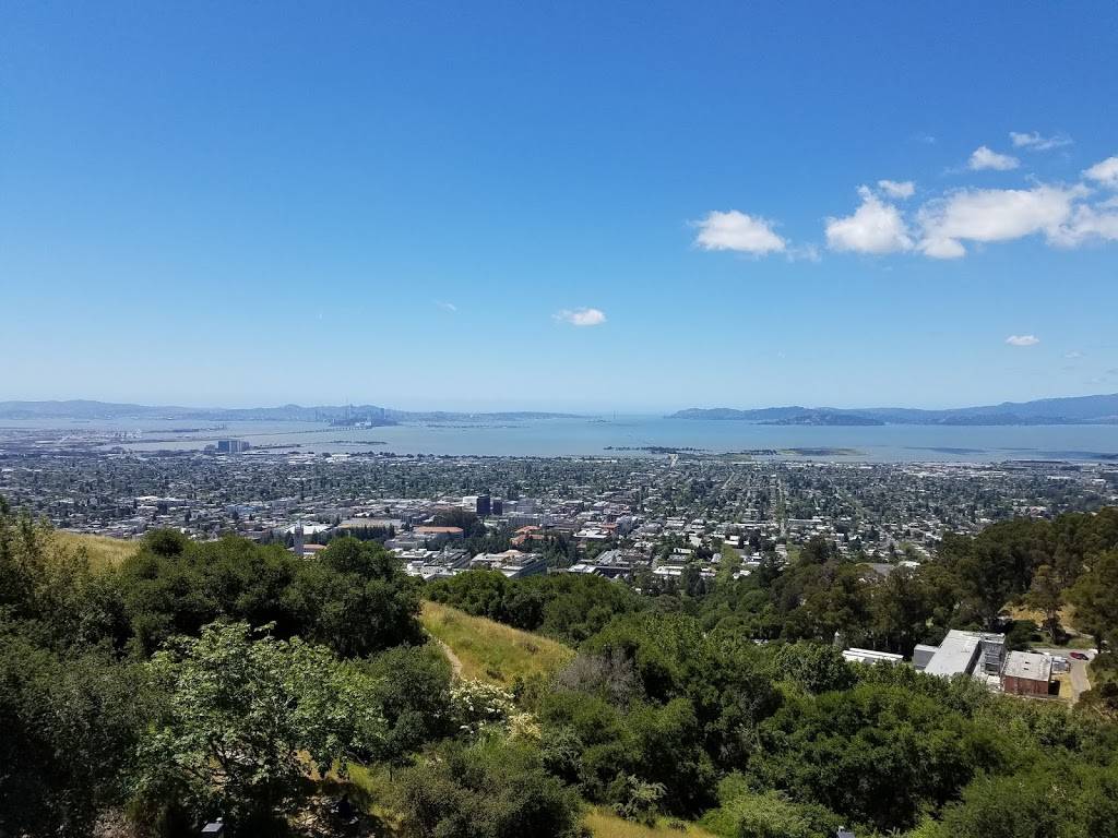 Bay View Café | cafe | 5200, 1, Centennial Dr # 5200, Berkeley, CA 94720, USA | 5106425132 OR +1 510-642-5132