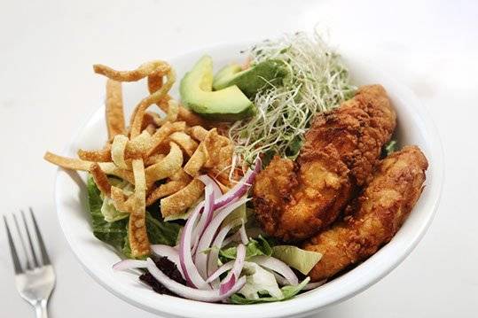 Dave & Tonys Premium Burger Joint | restaurant | 12766 Olive Blvd, Creve Coeur, MO 63141, USA | 3144395100 OR +1 314-439-5100