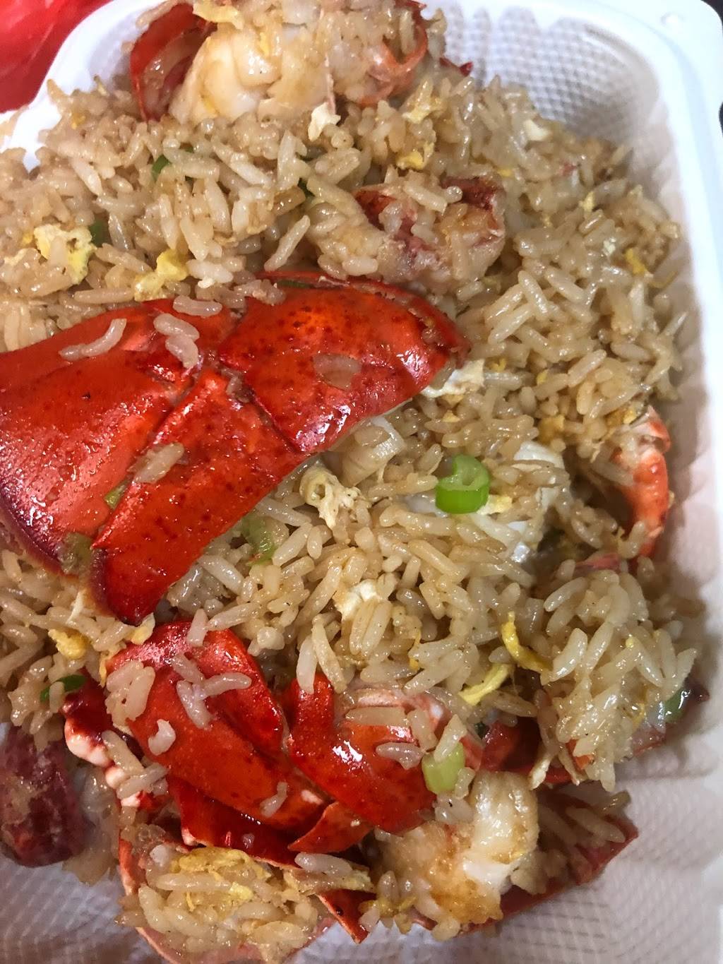 482 Joy Garden | restaurant | 482 Riverdale Ave, Brooklyn, NY 11207, USA | 7183853388 OR +1 718-385-3388