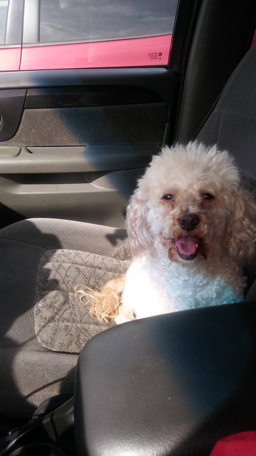 Dunkin Donuts | cafe | 1614 W 59th St, Chicago, IL 60636, USA | 7739254088 OR +1 773-925-4088