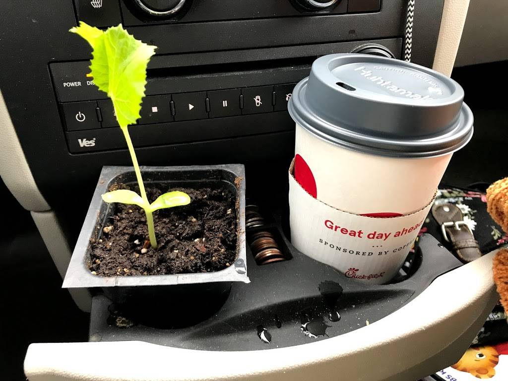 Chick-fil-A | restaurant | 75 McS Blvd, Sylacauga, AL 35150, USA | 2562450096 OR +1 256-245-0096