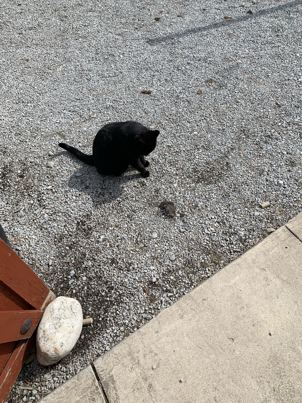 The Winery at Perennial Vineyards | restaurant | 11877 Poorman St SW, Navarre, OH 44662, USA | 3308323677 OR +1 330-832-3677