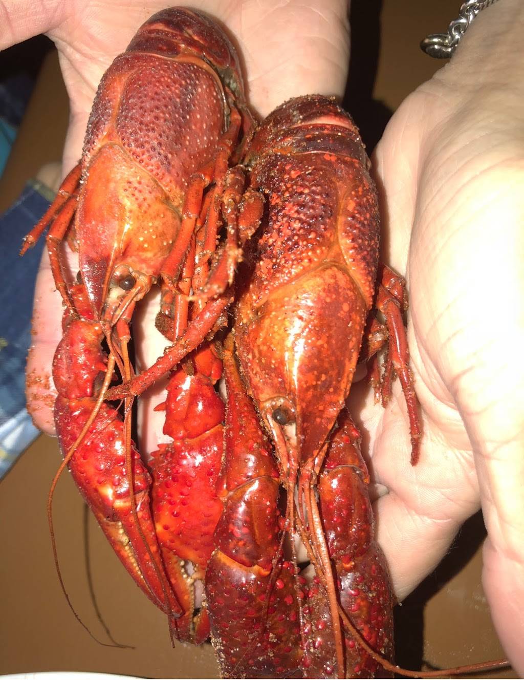 Cajun Claws | restaurant | 1928 Charity St, Abbeville, LA 70510, USA | 3378939437 OR +1 337-893-9437