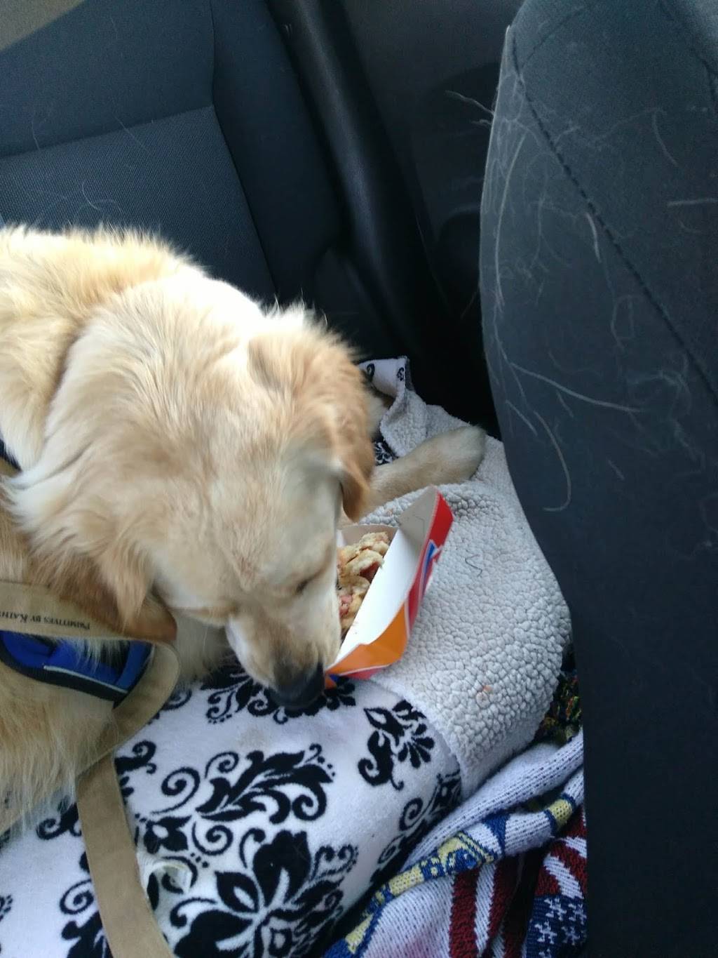 Dairy Queen | restaurant | 4441 PA-8 S, Titusville, PA 16354, USA | 8148279124 OR +1 814-827-9124