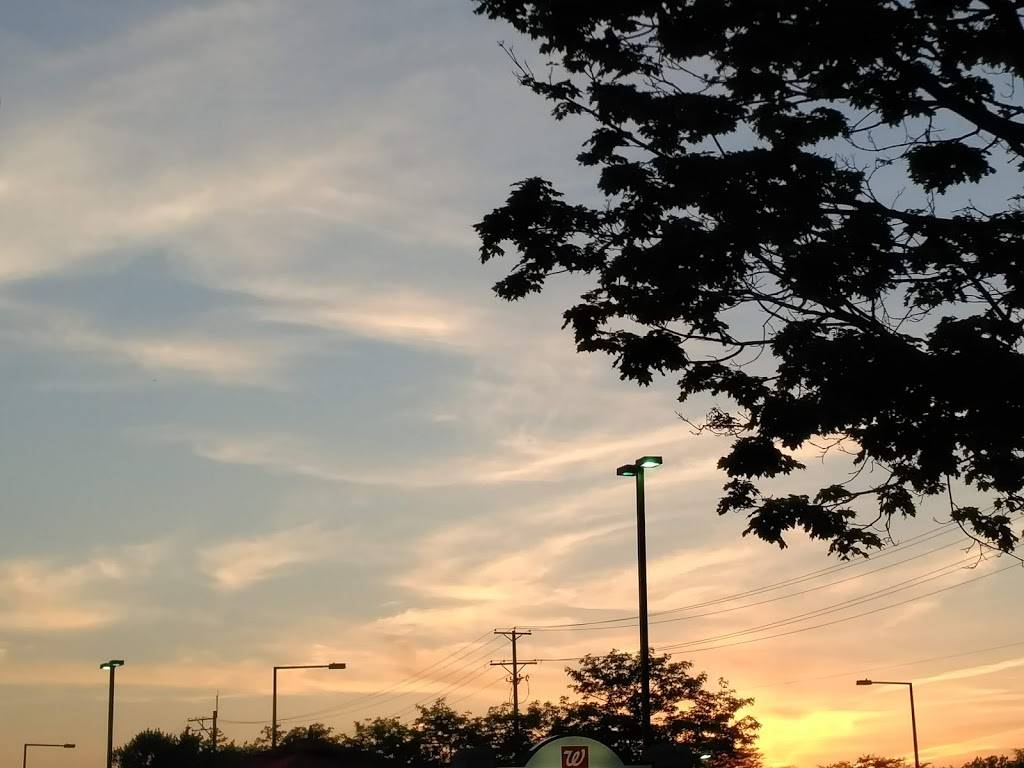 Starbucks | cafe | 1205 W Dundee Rd, Buffalo Grove, IL 60089, USA | 8473985216 OR +1 847-398-5216