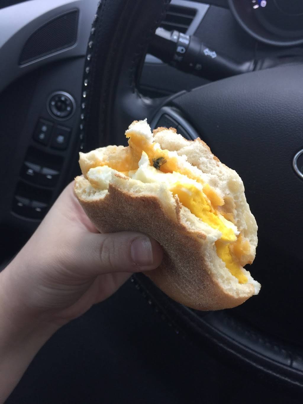 Dunkin | bakery | 5141 S University Dr, Davie, FL 33328, USA | 9542521373 OR +1 954-252-1373