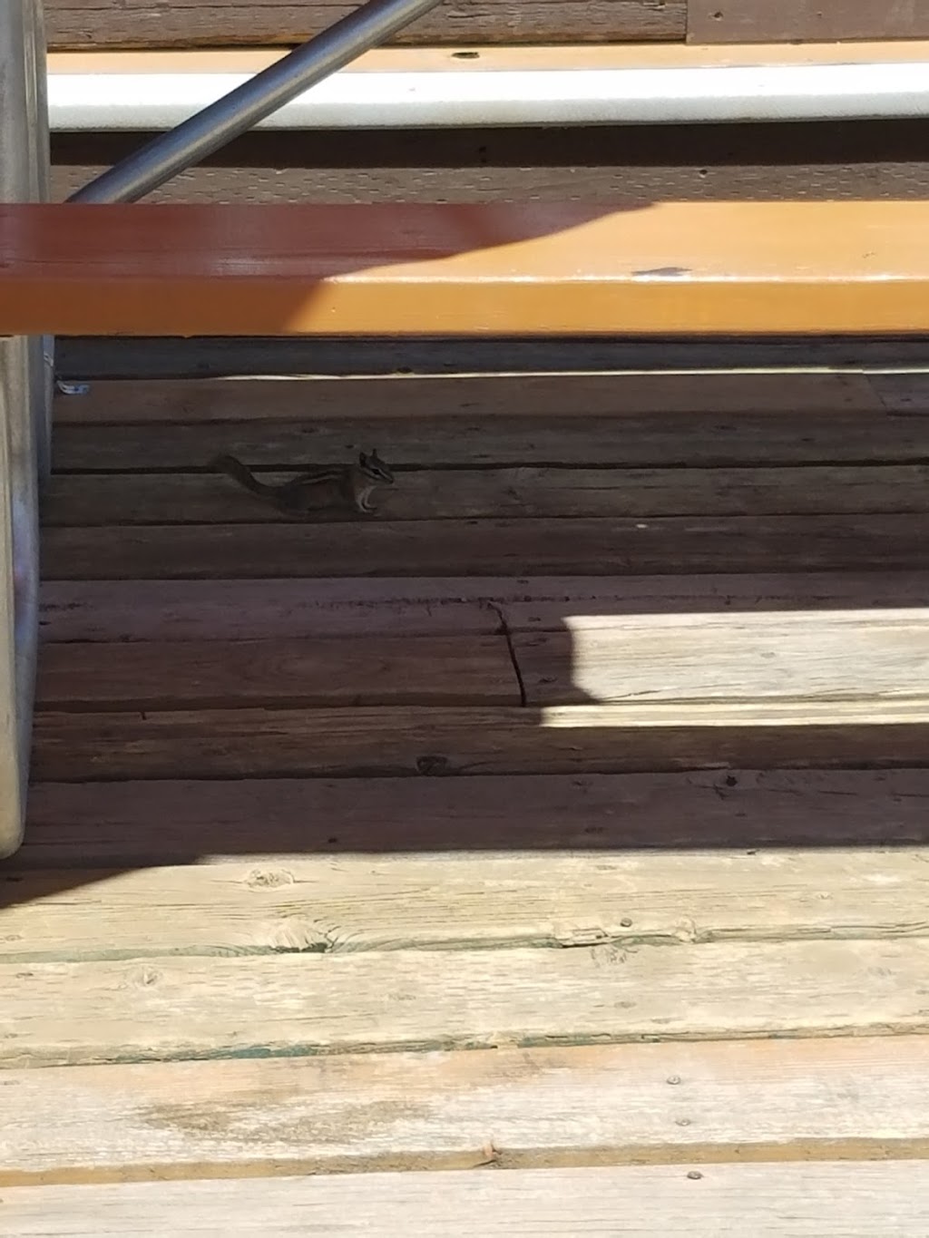 Pappys Resturaunt & Pub | restaurant | Gunnison, CO 81230, USA | 9706410403 OR +1 970-641-0403