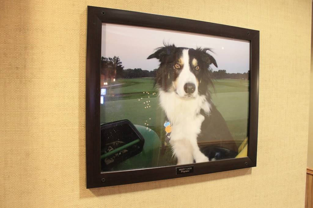 Wileys Grill | restaurant | 800 Kedzie Ave, Flossmoor, IL 60422, USA | 7089578774 OR +1 708-957-8774