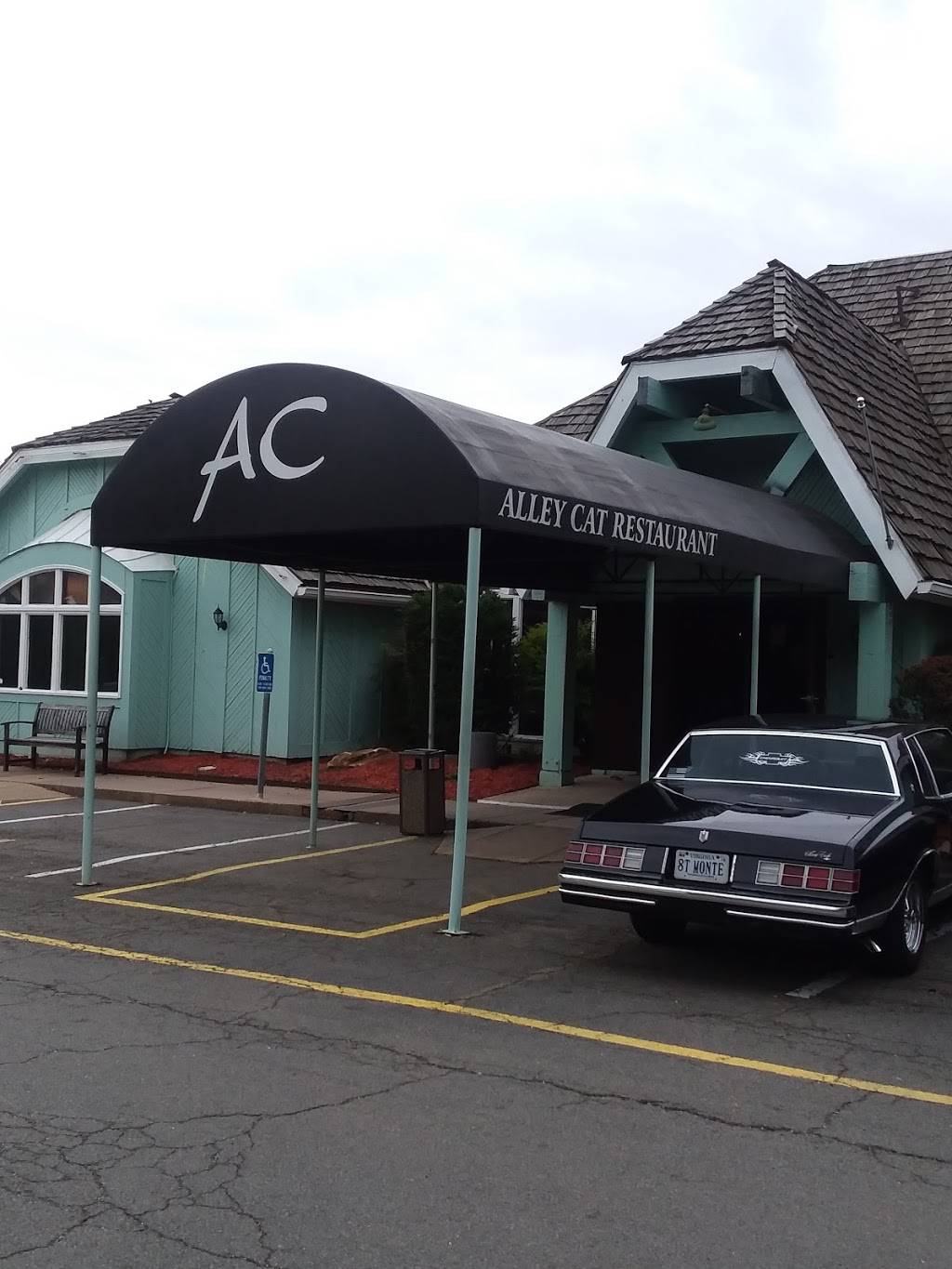 Alley Cat Restaurant | restaurant | 2 S Whiting St, Alexandria, VA 22304, USA | 7034610450 OR +1 703-461-0450