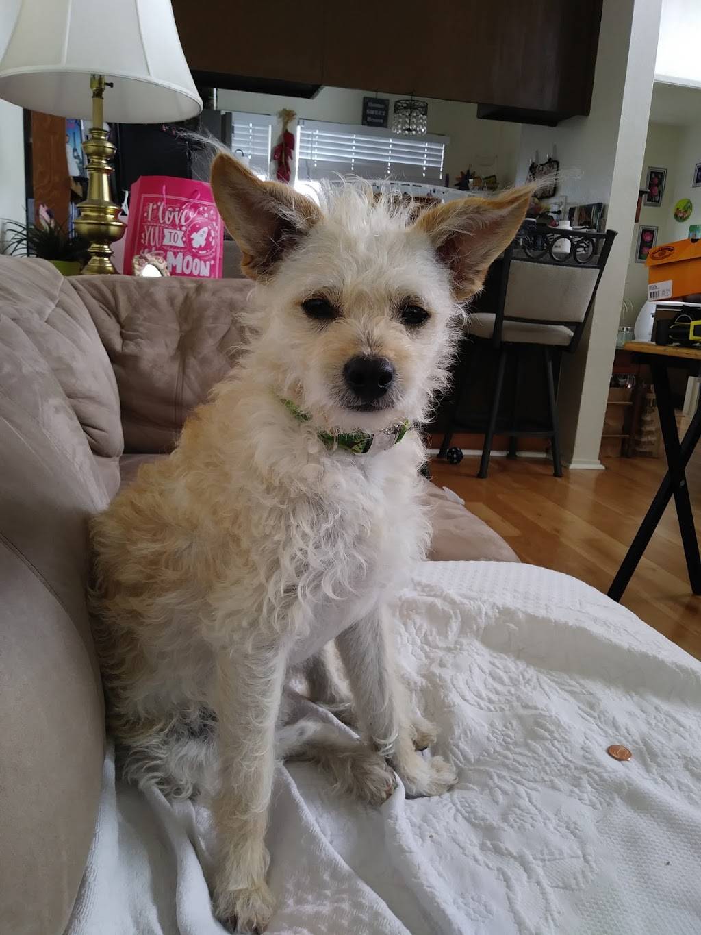 Papa Murphys Take N Bake Pizza | meal takeaway | 140 Calistoga Rd, Santa Rosa, CA 95409, USA | 7075388880 OR +1 707-538-8880