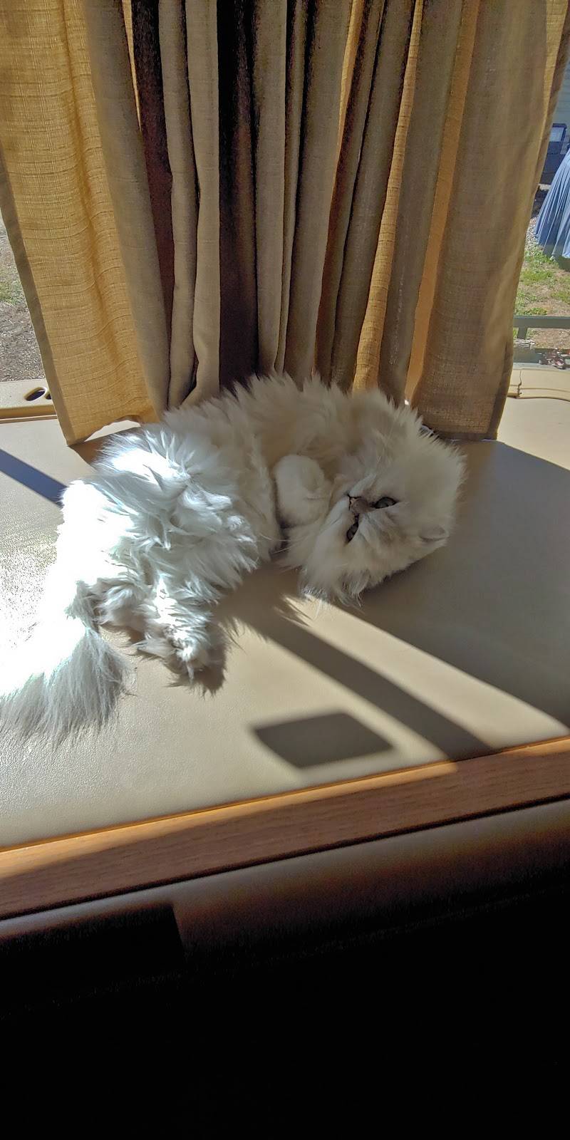 Blueberry Hill Cafe | restaurant | 489 Daniel Webster Hwy, Stratford, NH 03590, USA | 6036361964 OR +1 603-636-1964