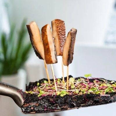 Prime 41 | restaurant | 4101 Pine Tree Dr, Miami Beach, FL 33140, USA | 3059674618 OR +1 305-967-4618