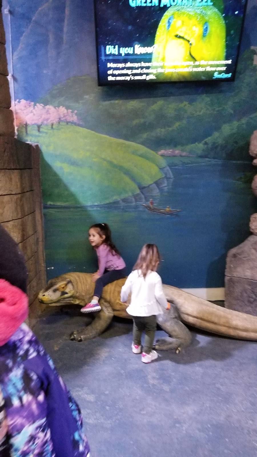 Chipotle Mexican Grill | restaurant | 8501 W Bowles Ave Ste 2020, Littleton, CO 80123, USA | 3039733401 OR +1 303-973-3401