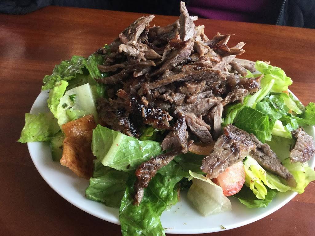 The Shish Shawarma & Grill | restaurant | 1401 Ernest Ave, Unit # 16, London, ON N6E 2P6, Canada | 5196853474 OR +1 519-685-3474