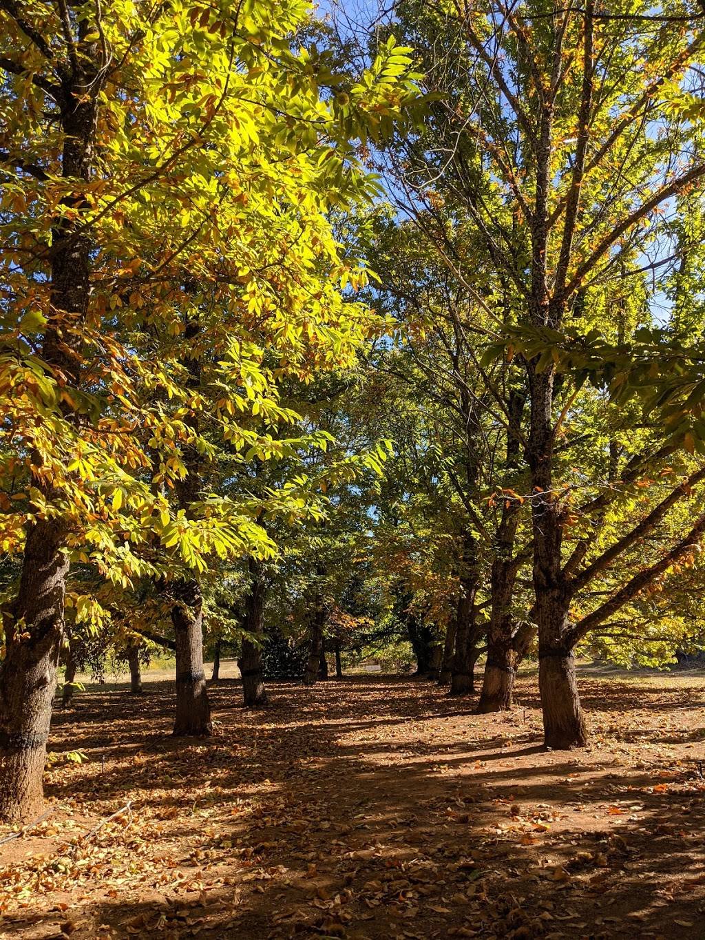 Smokey Ridge Ranch - Apple Hill #133 | restaurant | 2160 Carson Rd, Placerville, CA 95667, USA | 5306265077 OR +1 530-626-5077