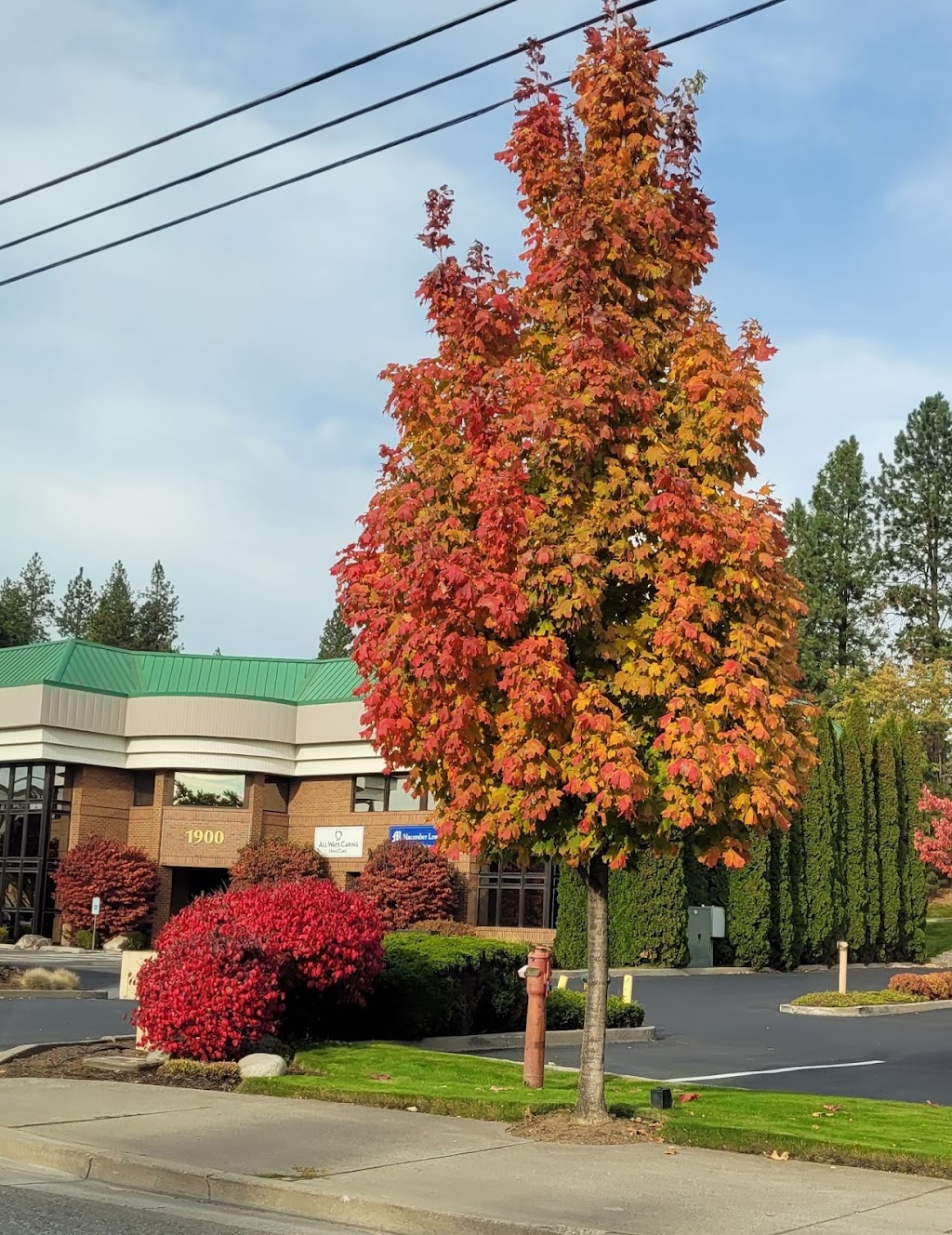 Lean Bean Coffee | bakery | 1820 Northwest Blvd, Coeur dAlene, ID 83814, USA | 2086762326 OR +1 208-676-2326