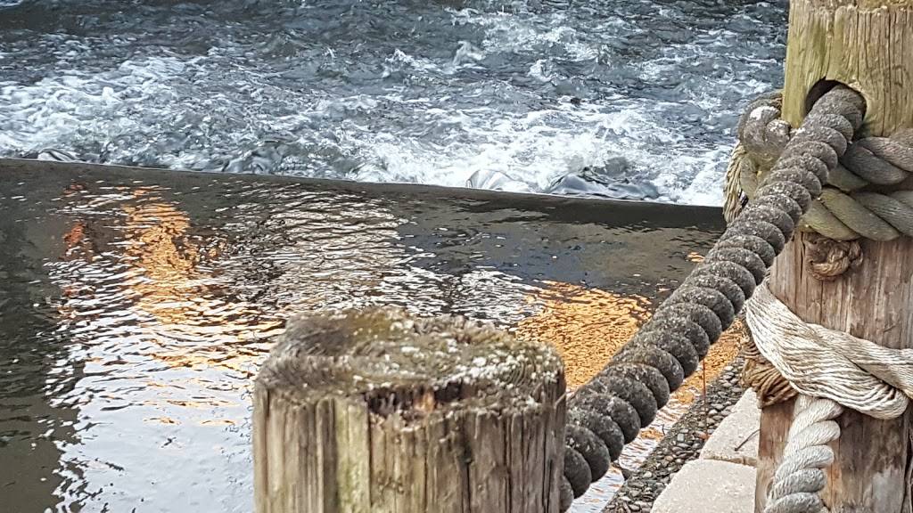 Spring Creek Restaurant | restaurant | 118 S Main St, Lodi, WI 53555, USA | 6085920600 OR +1 608-592-0600