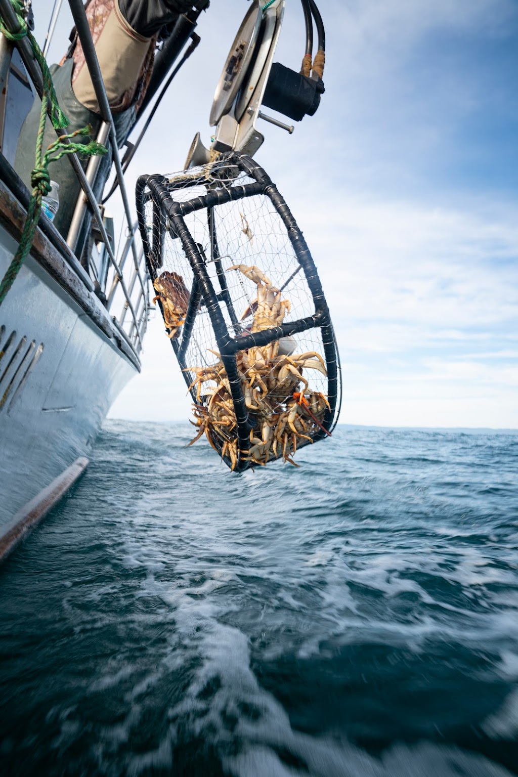 Pacific Pearl Charters | restaurant | 3310 Powell St, Emeryville, CA 94608, USA | 5106523403 OR +1 510-652-3403