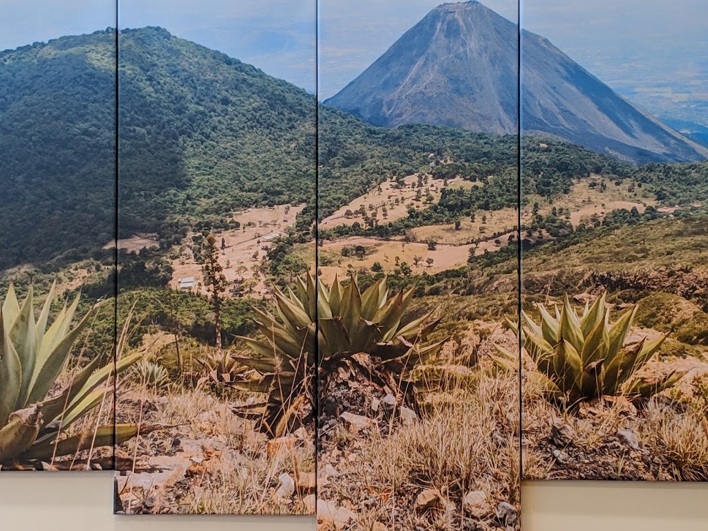 Mi Tierra | restaurant | 149-15 Jamaica Ave, Jamaica, NY 11435, USA | 7184803484 OR +1 718-480-3484