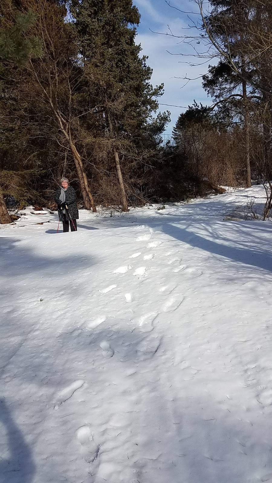 Bailey Island Lobster Co. | restaurant | 51 Abner Point Rd, Bailey Island, ME 04003, USA | 2078336099 OR +1 207-833-6099