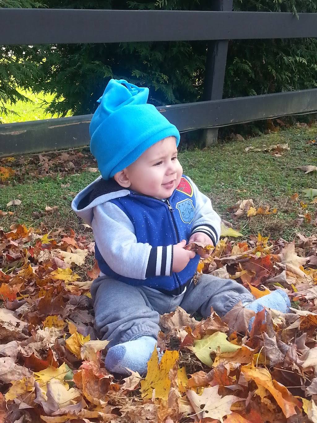 Pasta Patch Inc | meal takeaway | 183 Old Forge Rd, East Greenwich, RI 02818, USA | 4018841234 OR +1 401-884-1234