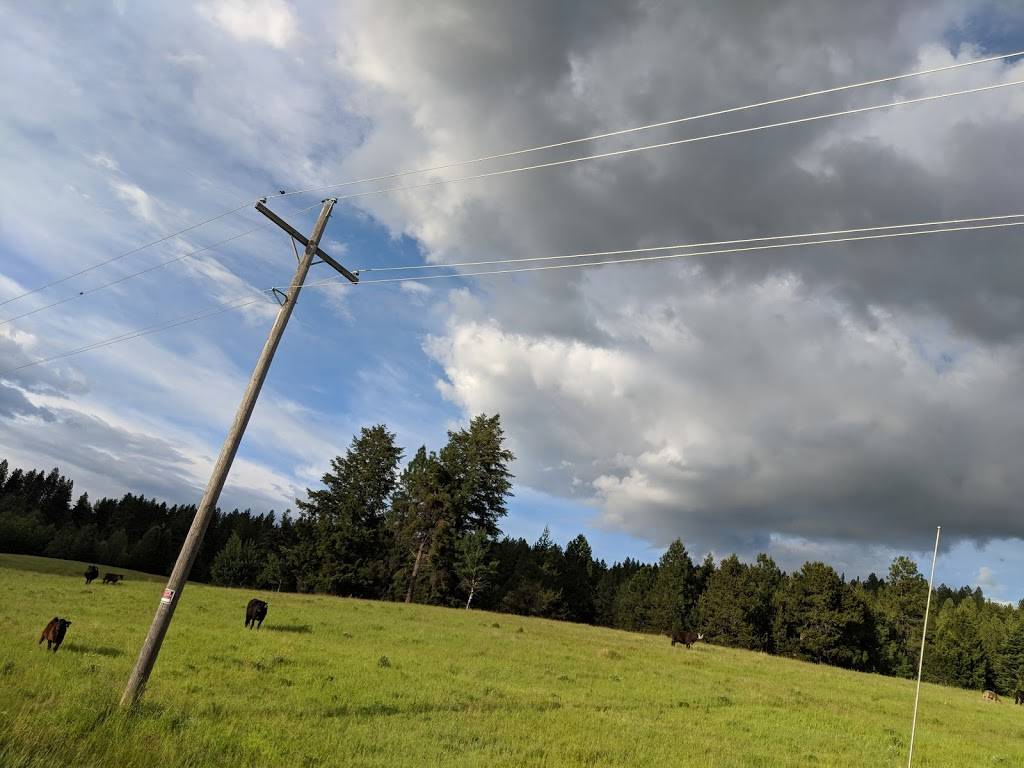 Johnnys Burger Stop | restaurant | 26901 Old 99 N, Stanwood, WA 98292, USA | 3606299427 OR +1 360-629-9427