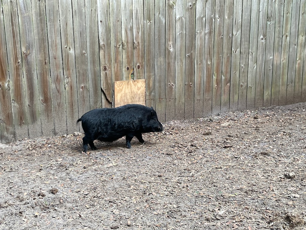 Santa’s Farm - Reservations Required | restaurant | 35317 Huff Rd, Eustis, FL 32736, USA | 3523579863 OR +1 352-357-9863