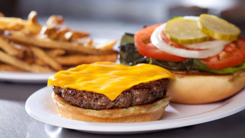 BurgerMonger | restaurant | 1656 Bruce B Downs Blvd, Wesley Chapel, FL 33544, USA | 8139914242 OR +1 813-991-4242