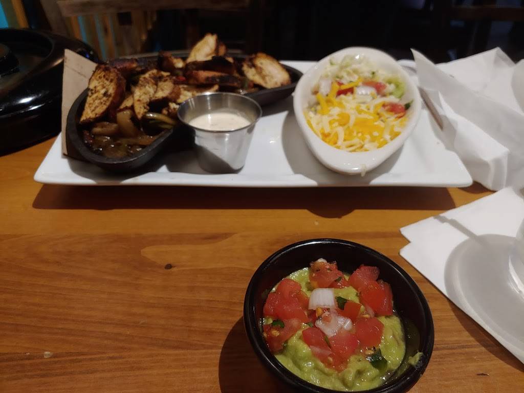 Sea Dog Cantina | restaurant | 2832 Beach Blvd S, Gulfport, FL 33707, USA | 7279140112 OR +1 727-914-0112