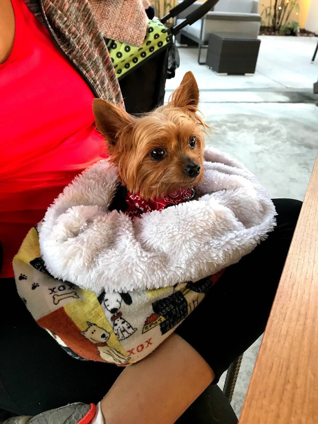 Post & Vine | restaurant | 1919 14th Ave, Vero Beach, FL 32960, USA | 7729075159 OR +1 772-907-5159