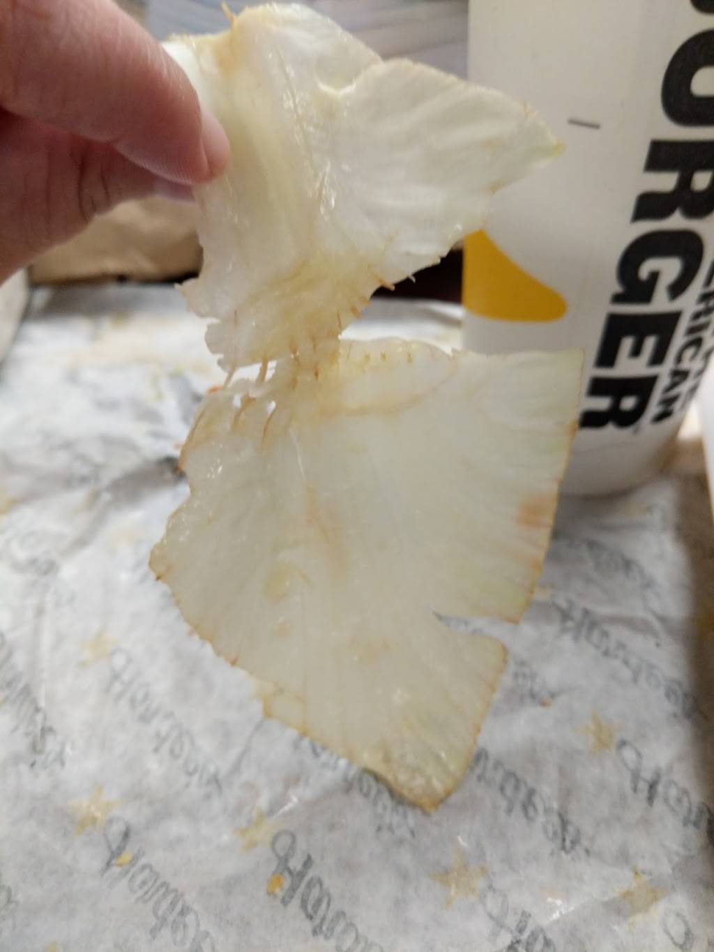 Hardees | restaurant | 206 S Main St, Shelby, NC 28152, USA | 7044345713 OR +1 704-434-5713