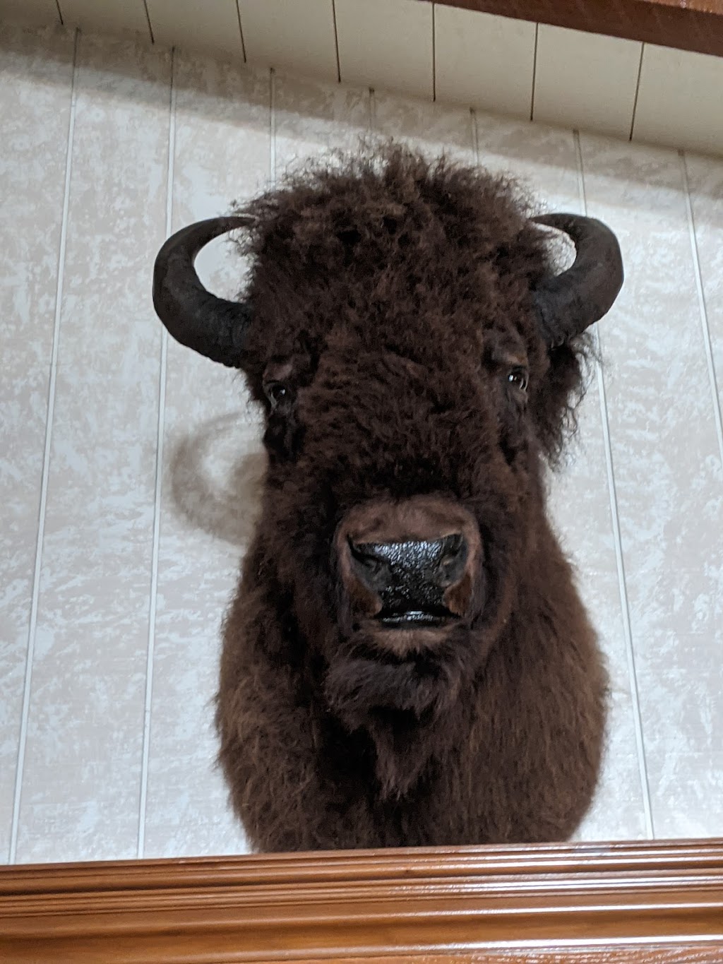 Casa Jimenez | restaurant | 925 Barstow Rd, Barstow, CA 92311, USA | 7602523346 OR +1 760-252-3346