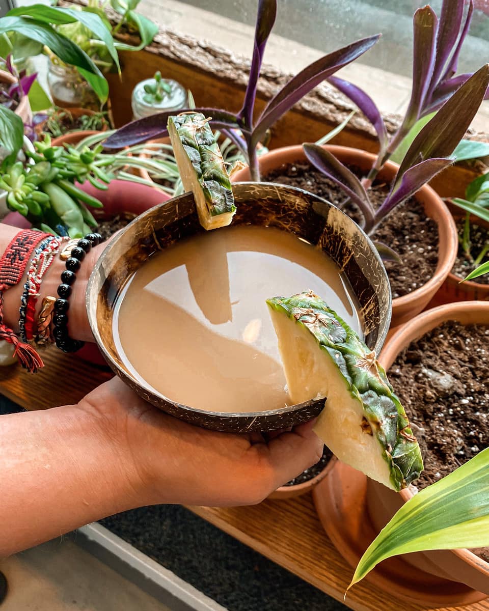 Switchback Gear Exchange | cafe | 2166 Plainfield Ave NE, Grand Rapids, MI 49505, USA | 6162599609 OR +1 616-259-9609