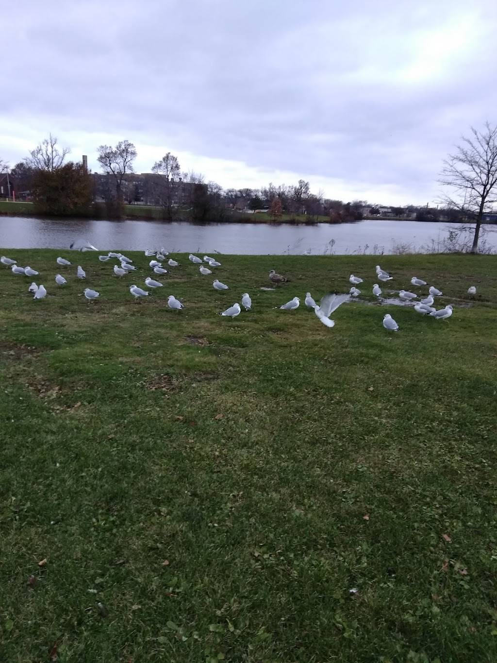 Hyde Park Golf Course | restaurant | 4343 Porter Rd, Niagara Falls, NY 14305, USA | 7162058055 OR +1 716-205-8055