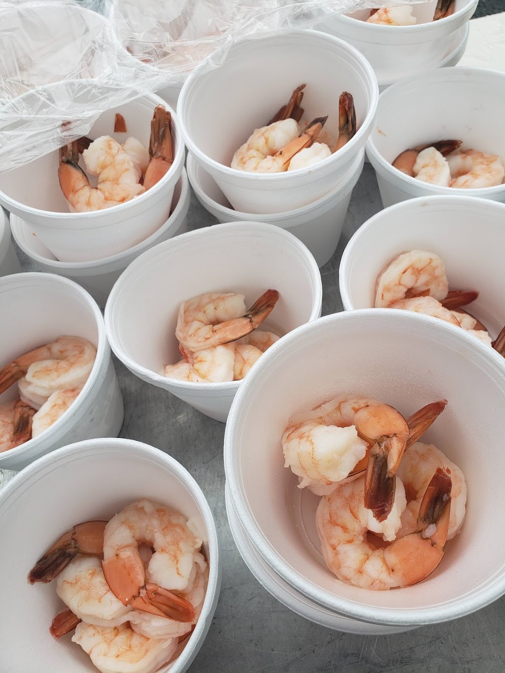 Newton Moose Lodge 432 | restaurant | 214 Co Rd 622, Fredon Township, NJ 07860, USA | 9735791846 OR +1 973-579-1846