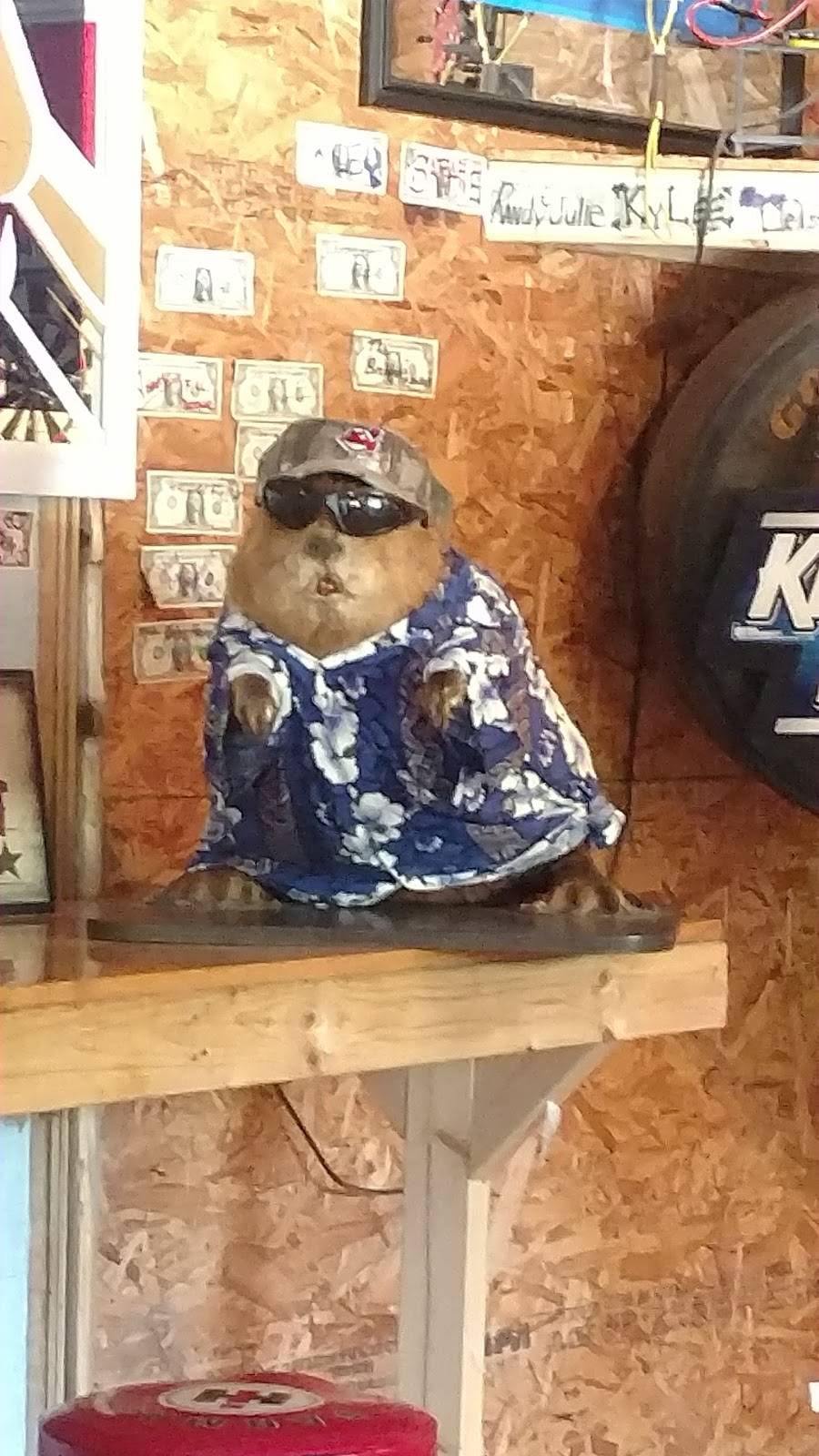 Wills Creek Grub and Pub | restaurant | 15370 Co Rd 274, Coshocton, OH 43812, USA | 7408292255 OR +1 740-829-2255